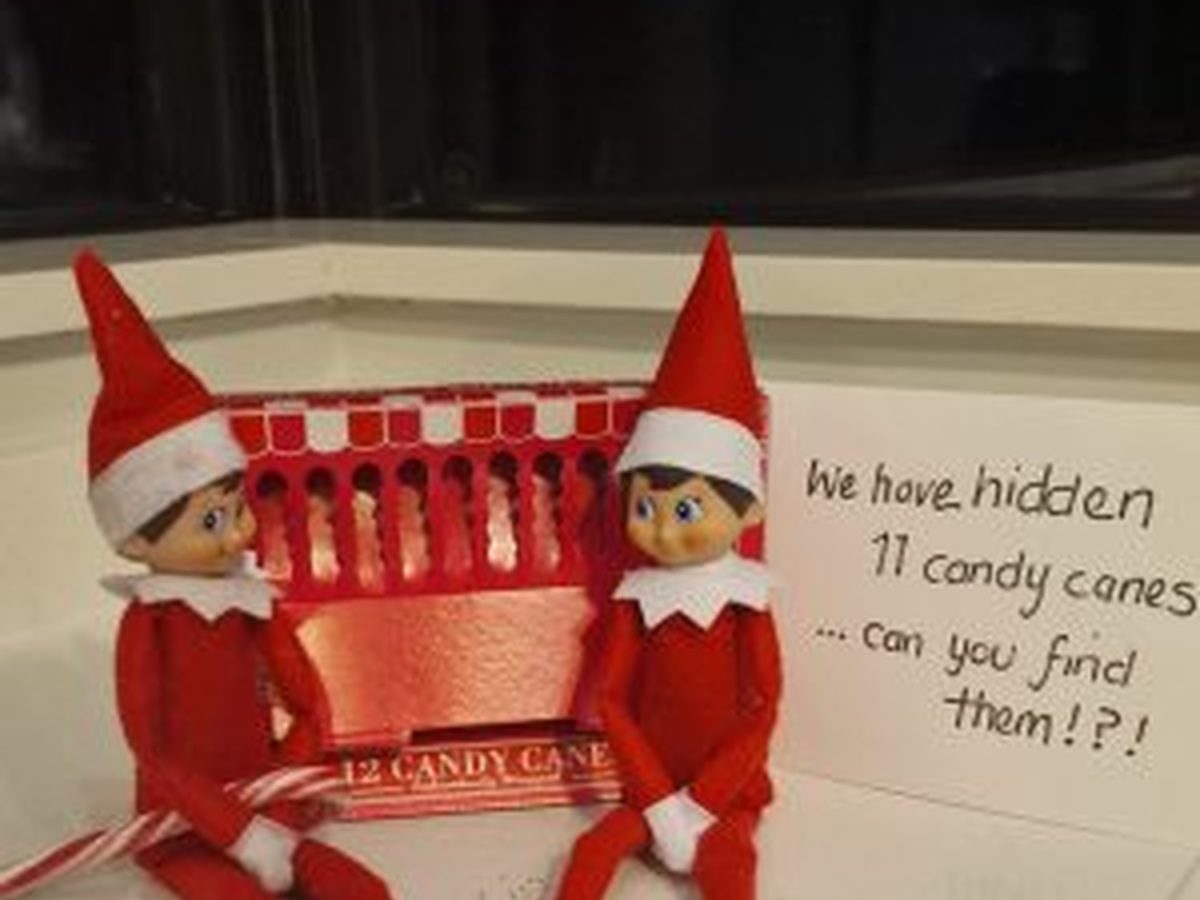 Elf positioned among hidden candy canes in scavenger hunt setup.