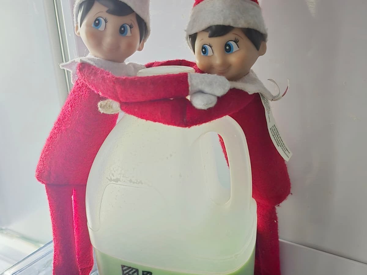 Green-colored milk in cup beside cereal with elf ready for breakfast.