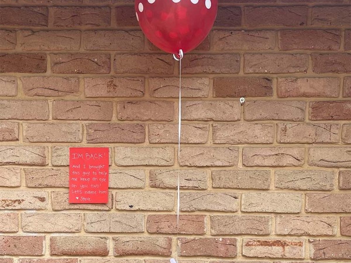 Two Christmas elves hanging from ceiling next to air-filled balloon with introduction note.