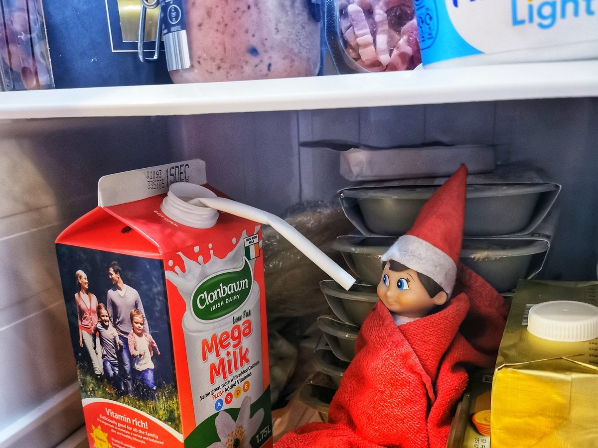 Elf wrapped in blanket tucked cozily inside refrigerator shelf.